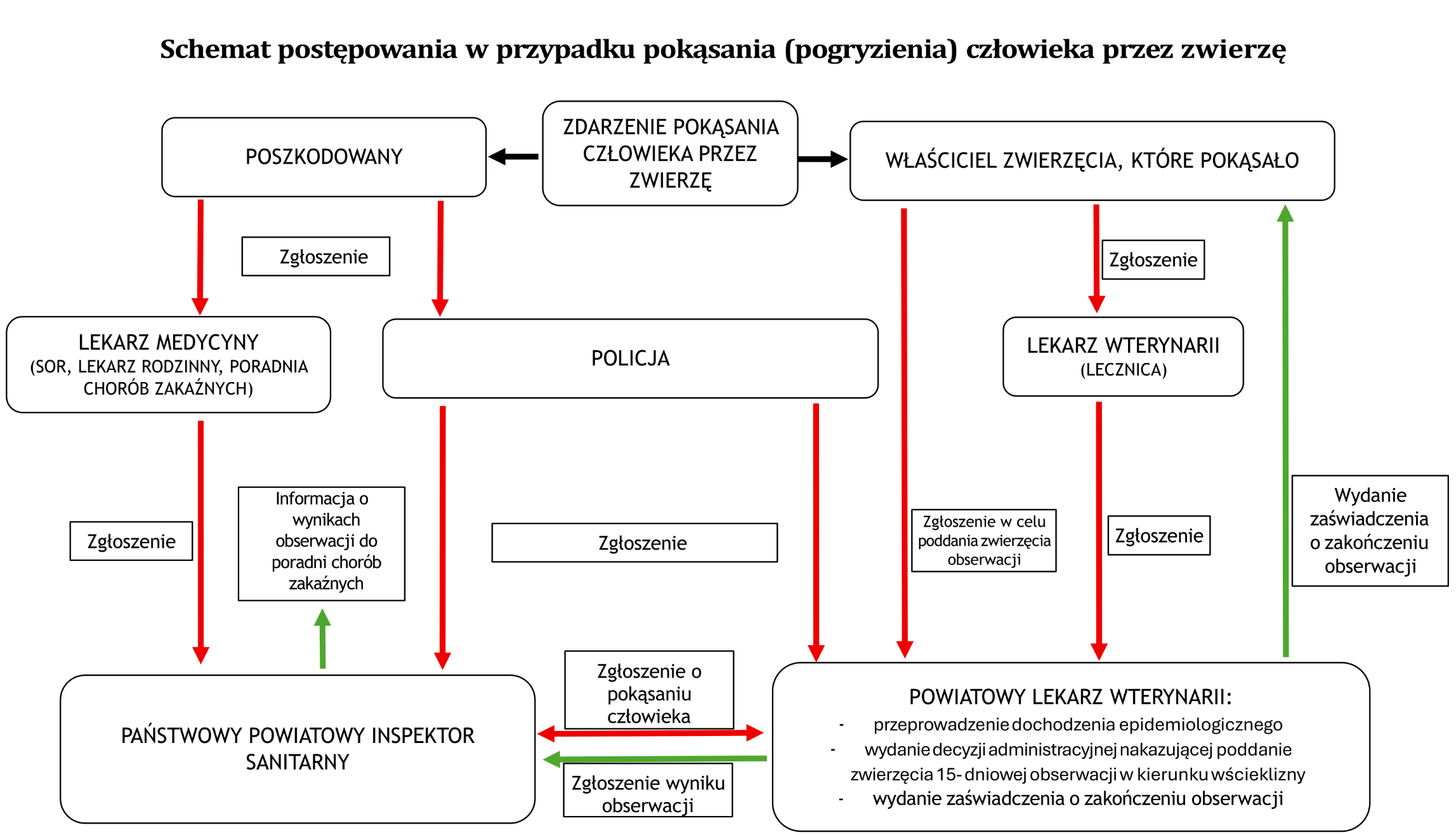 schemat postępowania pogryzienie